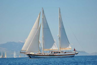Goelette de luxe de 6 cabines a vendre